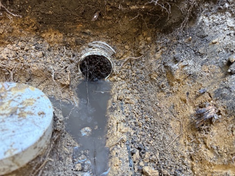 blocked drain in gold coast